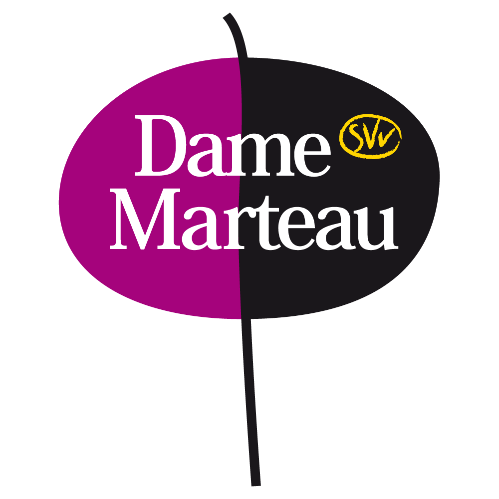 Accédez au site de damemarteau.fr