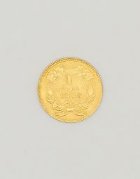 Lot 37 - Pièce Or 1 dollar