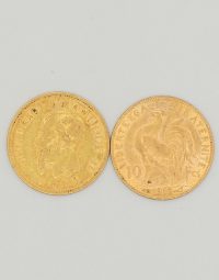 Lot 37 - Deux pièces en or